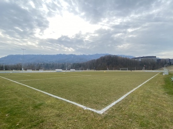 Sportanlage Allmend Brunau Platz 6 - Zürich