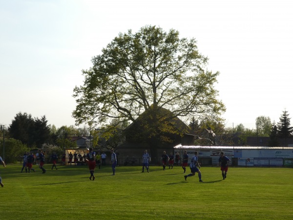 Sportanlage Kleine Straße - Cottbus-Saspow