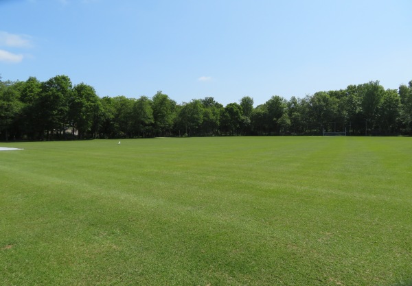 Sportpark Ter Specke veld 6 - Lisse