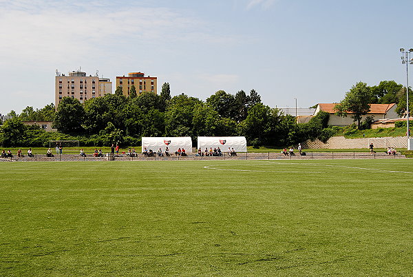 Pecsi Füves Edzöpalya - Pécs