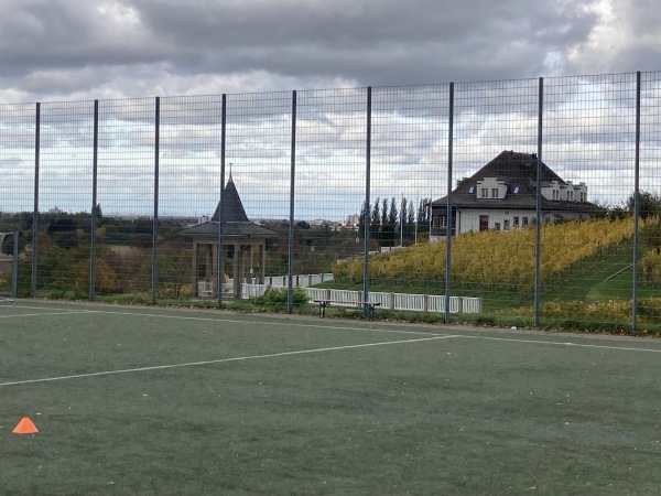 Sportplatz am Zentgericht - Heppenheim/Bergstraße