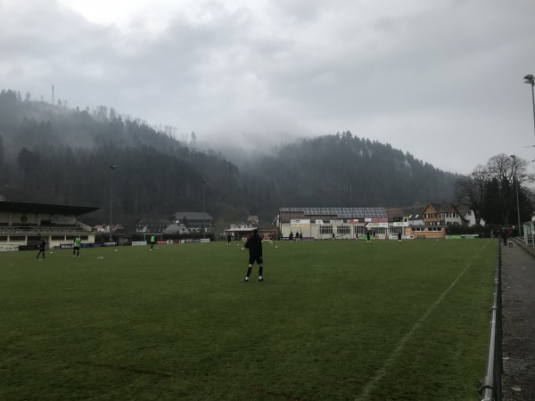 Badwaldstadion - Zell/Harmersbach