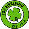 Wappen TSV Eiselfing 1966 diverse