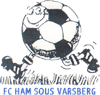 Wappen FC Ham-sous-Varsberg diverse  139112