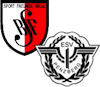Wappen SG Bichl/Penzberg - Frauen (Ground A)