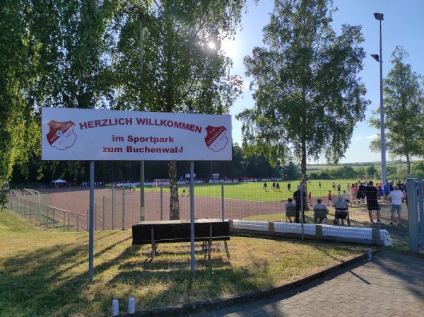 Sportpark zum Buchenwald - Maßweiler
