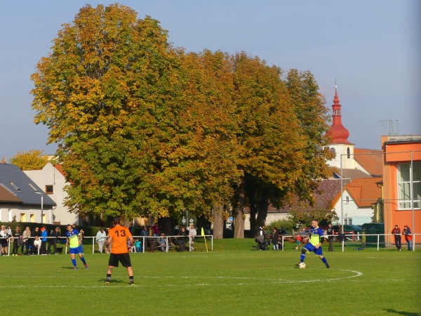 Hřiště Sparta Radonice - Radonice