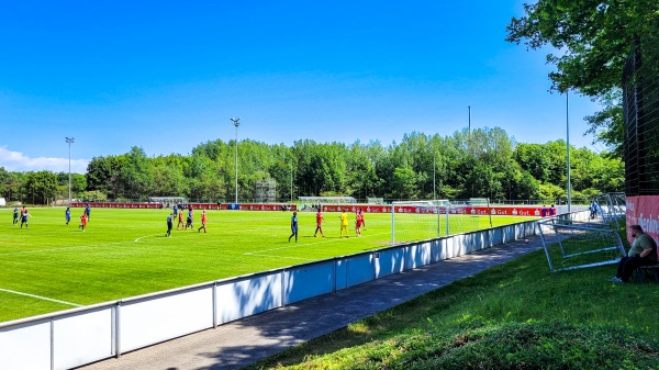 Nachwuchszentrum Hiltroper Straße - Bochum-Grumme