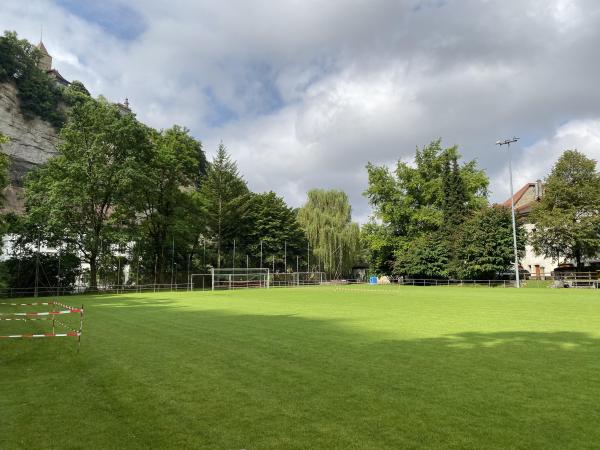 Terrain de Derrière-les-Jardins - Fribourg