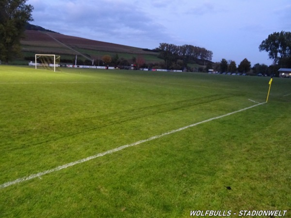 Sportanlage Gutmadinger Au Platz 2 - Geisingen-Gutmadingen