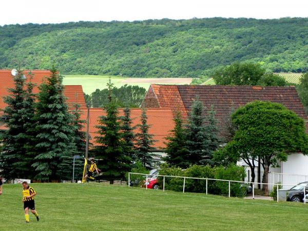 Sportanlage an der Freiheit - Kaiserpfalz-Memleben