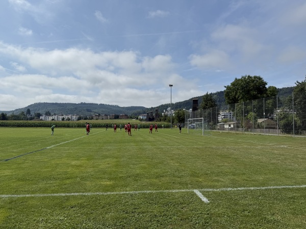 Sportplatz Barz Nebenplatz - Bad Zurzach