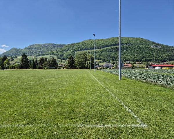 Sportanlage Niederfeld Trainingsplatz - Niederbipp