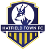 Wappen Hatfield Town FC
