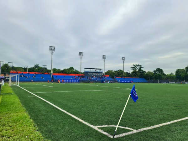 Estadio Ricardo Gregor - Asunción