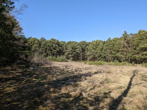 Waldsportplatz - Bad Dürkheim-Grethen