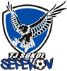 Wappen TJ Sokol Sepekov  119222