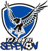 Wappen TJ Sokol Sepekov