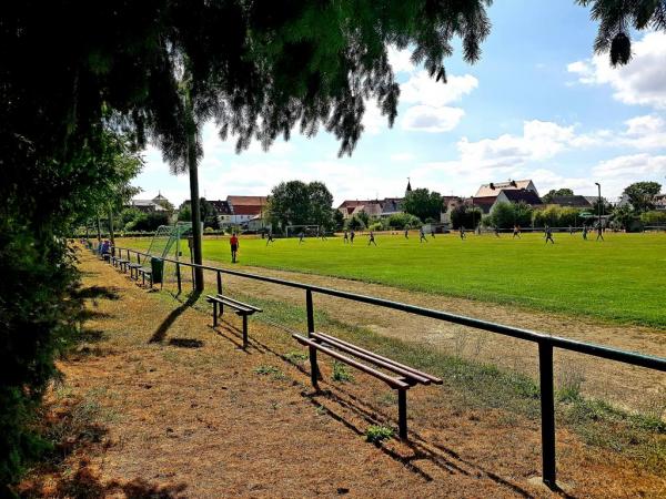 Sportpark Kurzwalder Straße - Belgern-Schildau