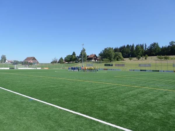 Sportplatz Beichlen Platz 2 - Wädenswil