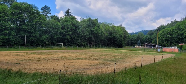 Sportplatz Weidentalswiese - Harztor-Ilfeld