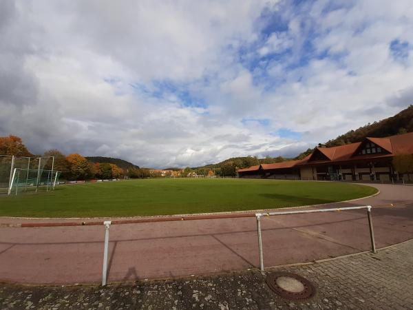 Sportanlage Georg-Schäfer-Straße - Ebelsbach-Gleisenau
