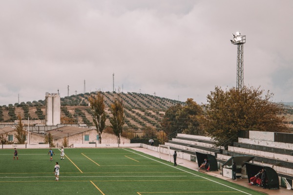 Campo de la Federación Sebastián Barajas - Jaén, AN