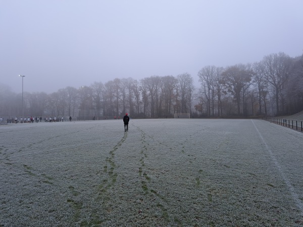 Sportpark Esserberg veld 2-Be Quick - Haren GR