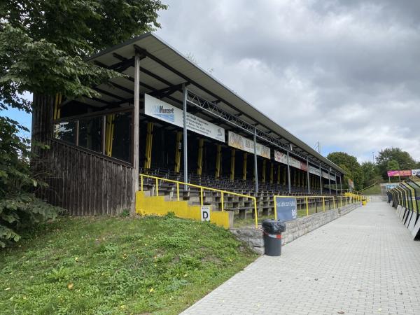 Städtisches Stadion Grüne Au - Hof/Saale