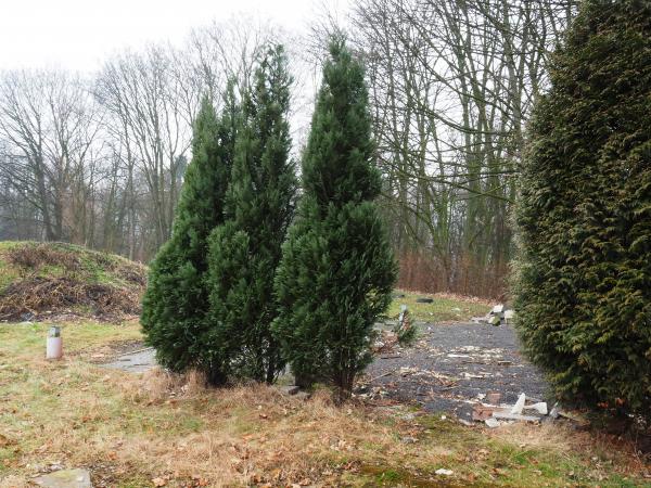 Sportplatz In den Tannen - Witten/Ruhr-Herbede