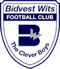 Wappen Wits University FC