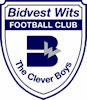 Wappen Wits University FC  32926