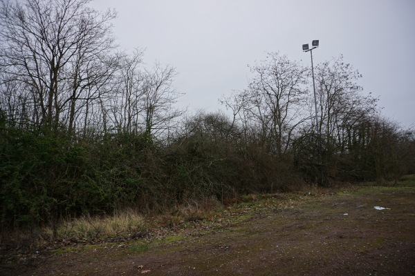 Sportanlage Theresienhöhe Platz 2 - Hürth-Hermülheim