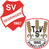Wappen SG Segringen/TSV Dinkelsbühl (Ground B)