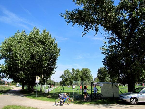 Sportanlage Festwiese Drachentöterarena - Hecklingen