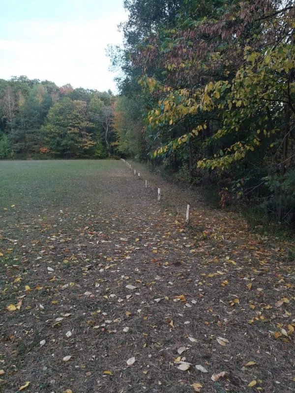 Sportplatz Weyher - Weyher/Pfalz