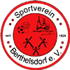 Wappen SV Berthelsdorf 1929 diverse  46707