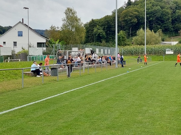 Sportplatz Arlets Platz 2 - Rikon