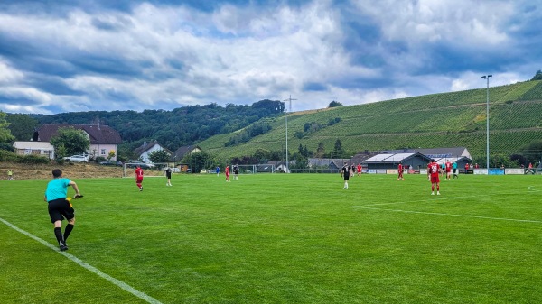 Reinhard-Grasnick-Sportanlage - Burgen/Mittelmosel