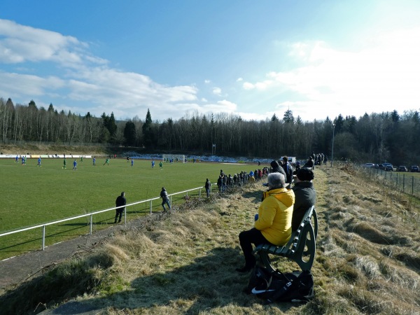 Waldstadion - Argenthal