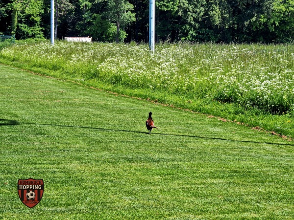 Sportanlage Kirchspiel Platz 2 - Schöppingen-Eggerode