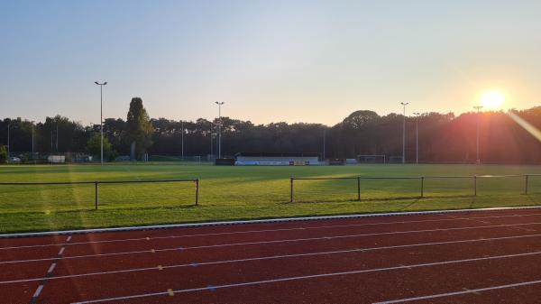 Kattenstadion Terrein 2 - Meerhout