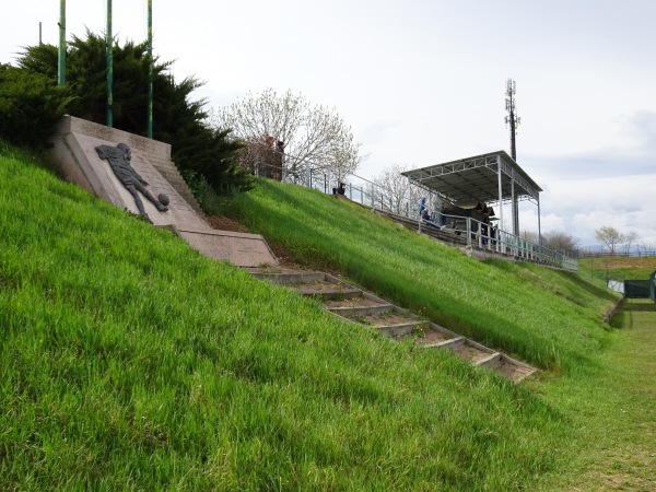Campo Sportivo  Alberto Tosoni - Caselle