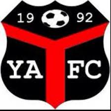 Wappen Ynyshir Albions FC