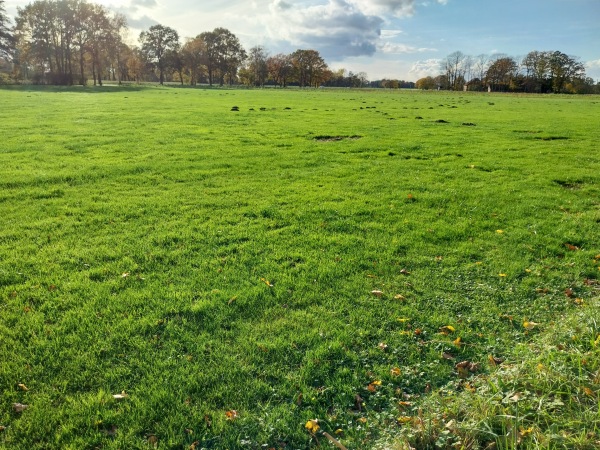 Sportzentrum Blankenhagen Platz 2 - Gütersloh-Blankenhagen