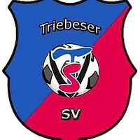 Wappen Triebeser SV 1910 diverse