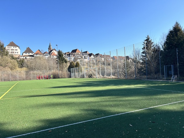 Sportanlage Teichweg Platz 2 - Dornstetten