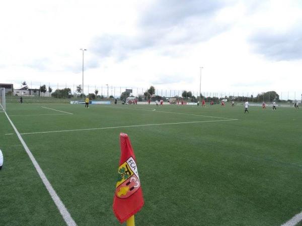 Bidirex-Sportpark Platz 2 - Auggen
