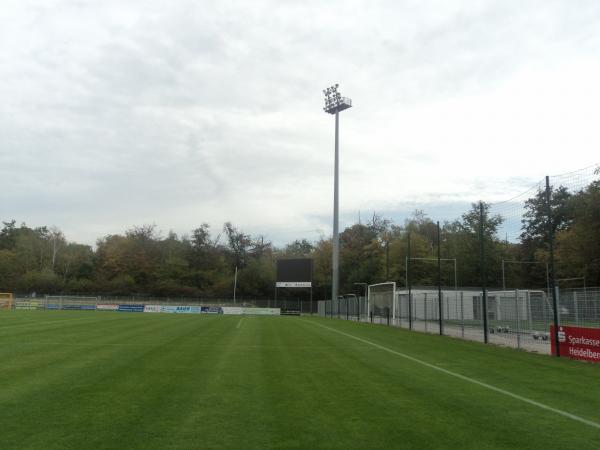 Stadion im Dietmar-Hopp-Sportpark - Walldorf