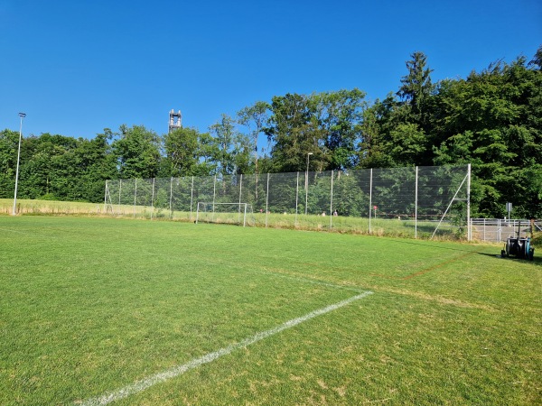 Sportplatz Allmend Platz B - Horgen